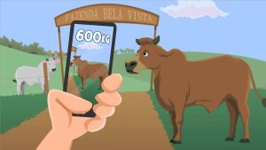 Applicazioni per la pesatura di animali e bestiame