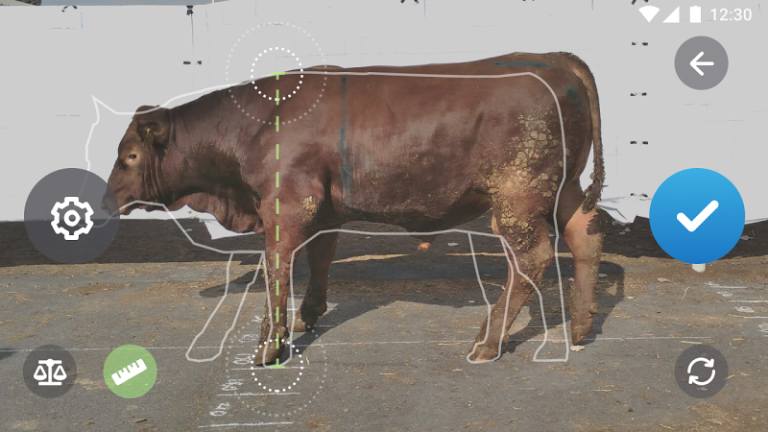 Best Apps for Weighing Animals