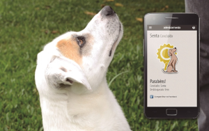 Le 5 migliori app per l'addestramento dei cani